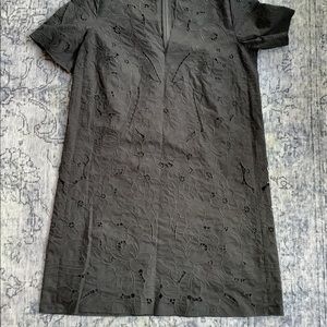 Aritzia Babaton Eyelet Shirt Mini Dress